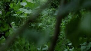 Смотреть на Лордфильм 2.0 Сериал Спецназ 2017